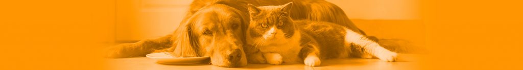 Cat and Dog Banner