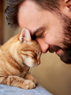Closeup of a young white male and his orange cat showing affection