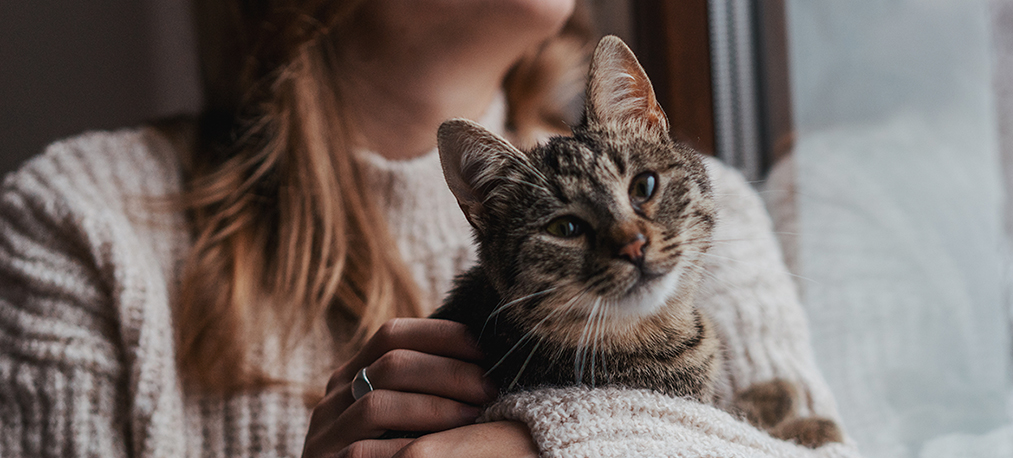 Young cheerful girl sitting at home on the windowsill in a warm sweater playing with a gray cat on a winter day